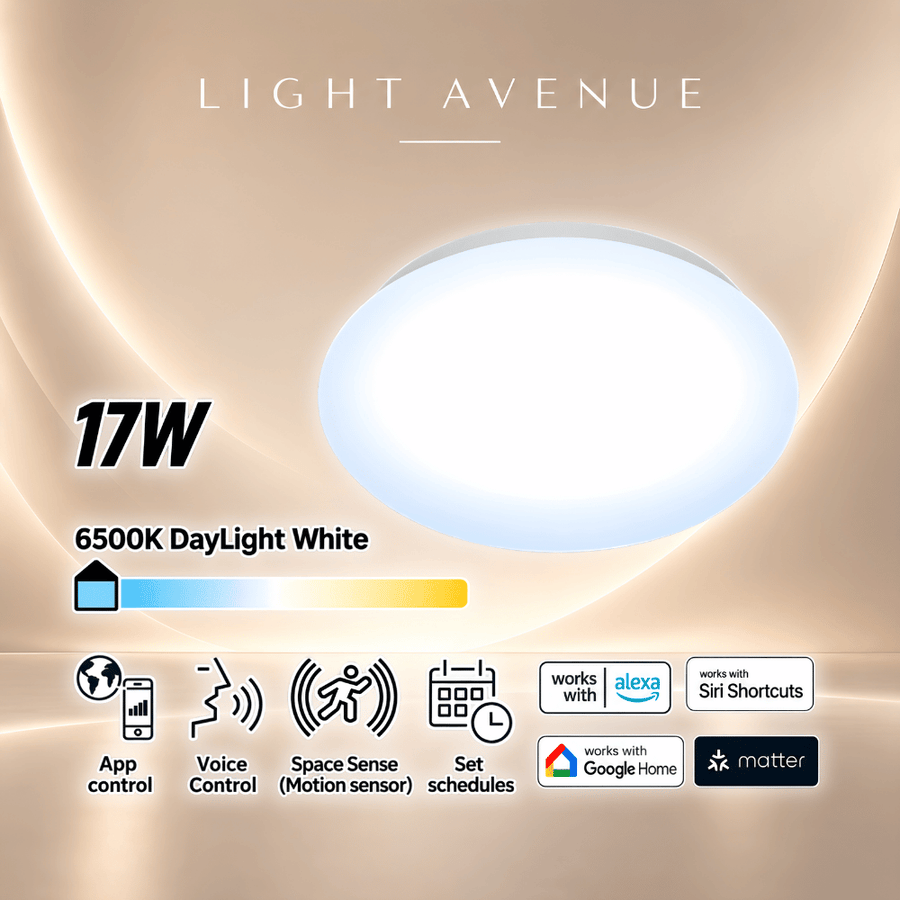 WiZ Adria Smart WiFi Dimmable Ceiling Light 17W 6500K White