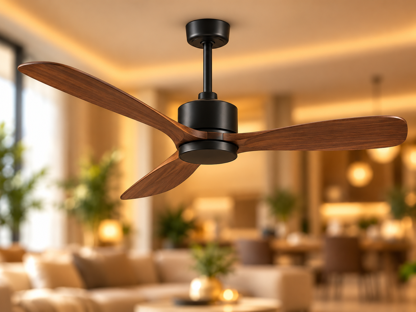 Ceiling Fans