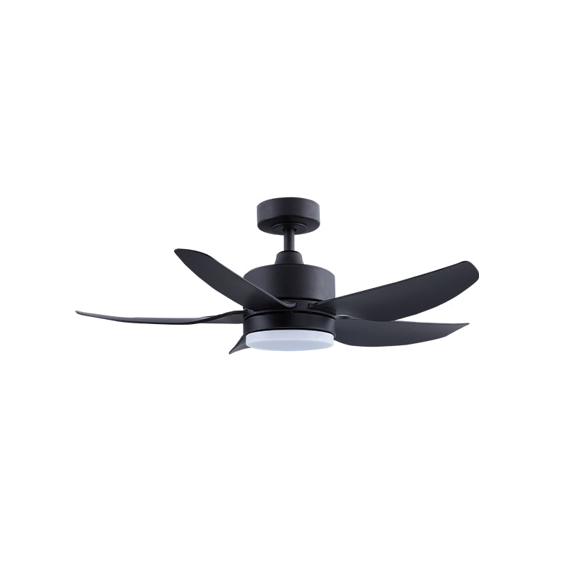 Samaire 5 Blade 42"/52"/56" Ceiling Fan with Light