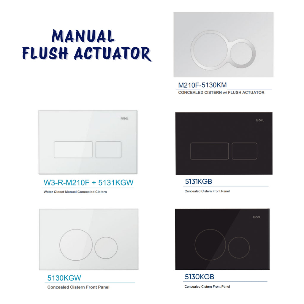 Rigel Wall-hung Water Closet Set WH9031BP