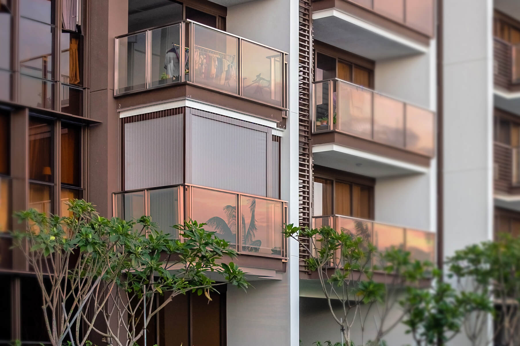 Zip Blinds (2)